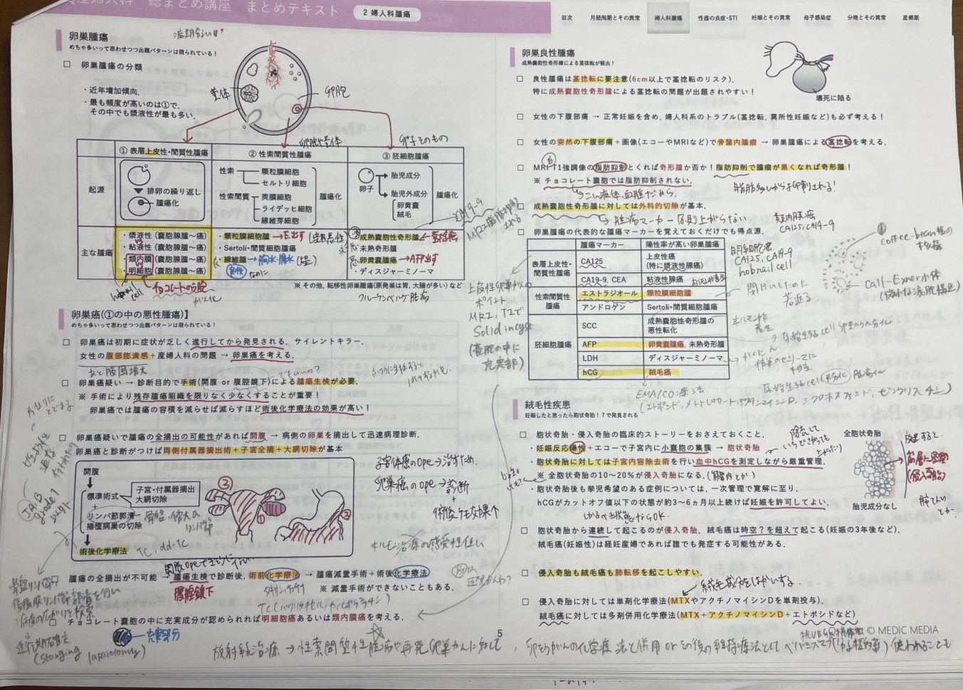 体験記】苦手だからこそ！の産婦人科対策| INFORMA by メディックメディア