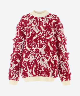 セーター | Christian Wijnants (Women)/クリスチャン ワイナンツ