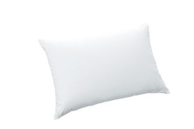 西川 ダウンピロー（EH02139004） | 西川/ニシカワ | 三越