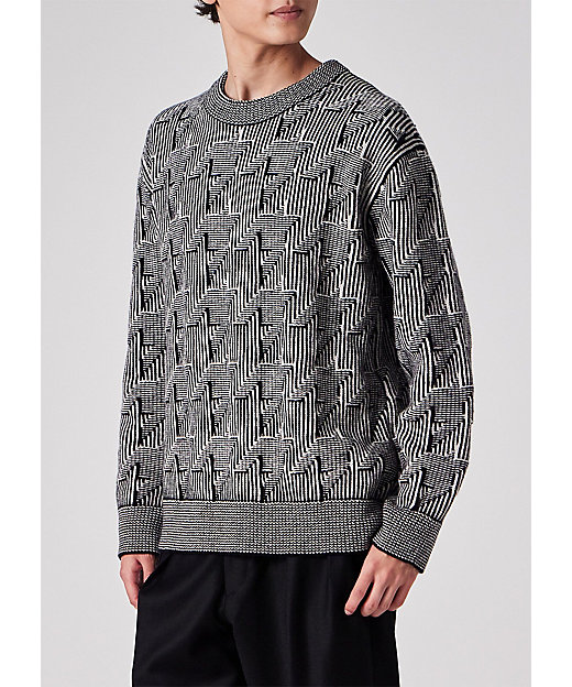 ビッグハウンドトゥース クルーネックニット（253410557Z