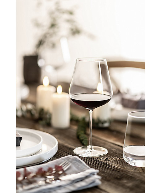 ヴェルヴィーノ オールラウンドワイングラスEPペア | ZWIESEL GLAS