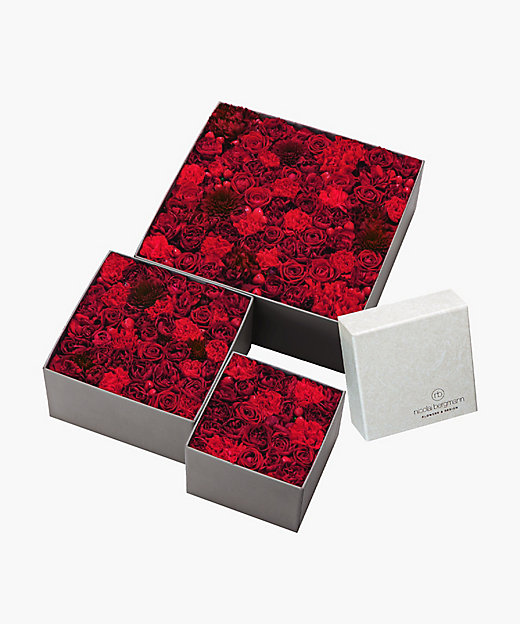 フレッシュフラワーボックス（レッド） | Nicolai Bergmann Flowers