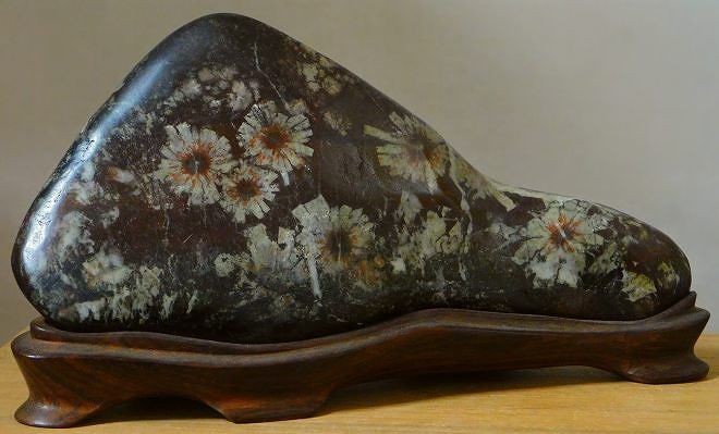 緋山酔恭「山水石美術館」 全国の水石・美石を紹介 菊花石 Ⅰ