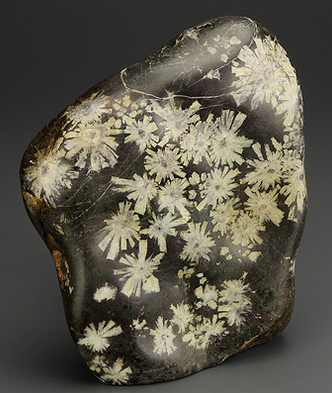 緋山酔恭「山水石美術館」 日本の美がここにある！！ 全国の水石・美石