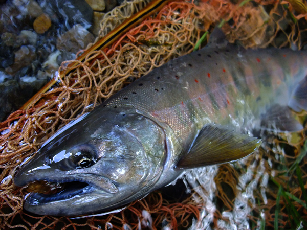 Handmade Work's ITO.CRAFT