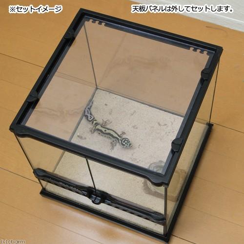 Leaf Corp 湿度を維持する ピッタリ塩ビフタ グラステラリウム