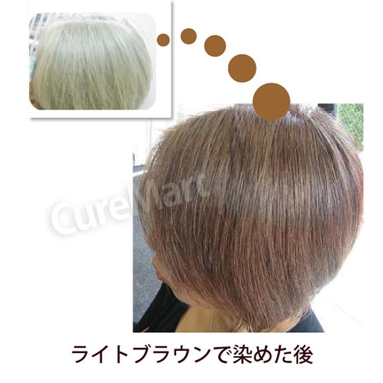 グリーンノート ヘナ ライトブラウン 100g ＋おまけ付 ハーバルカラー