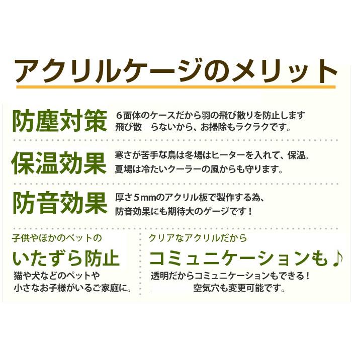 プレミアム】W500×H590×D485 アクリルバードケージ [ワイドタイプ