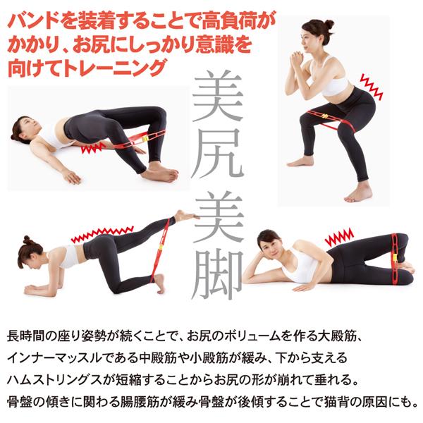 アルファックス おしりを鍛える トレーニング チューブ ヒップアップ