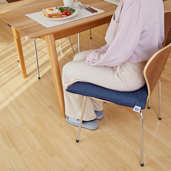 エアウィーヴ（airweave） 座布団 クッション フロア 畳 正座 客間 高