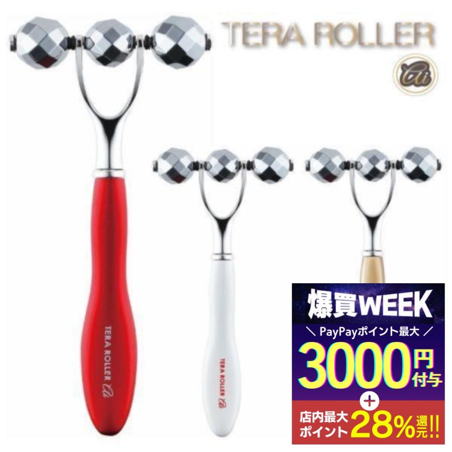 テラローラーai2 テラローラー アイ2 ポイントケアローラー コロコロ
