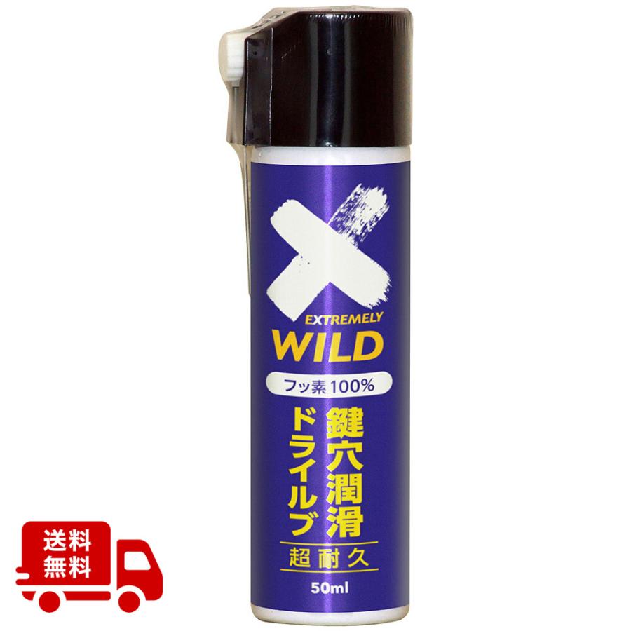 エーゼット (送料無料)AZ DKL-001 鍵穴潤滑 ドライルブスプレー 50ml