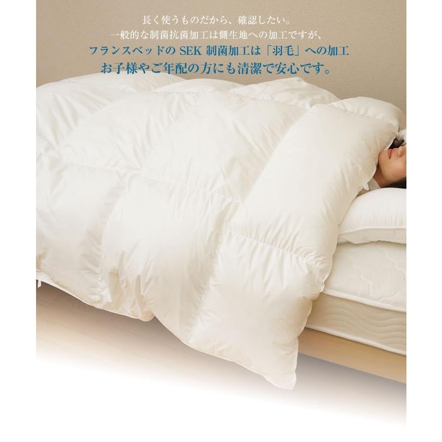 フランスベッド（FRANCEBED） オールシーズン対応羽毛ふとん シングル