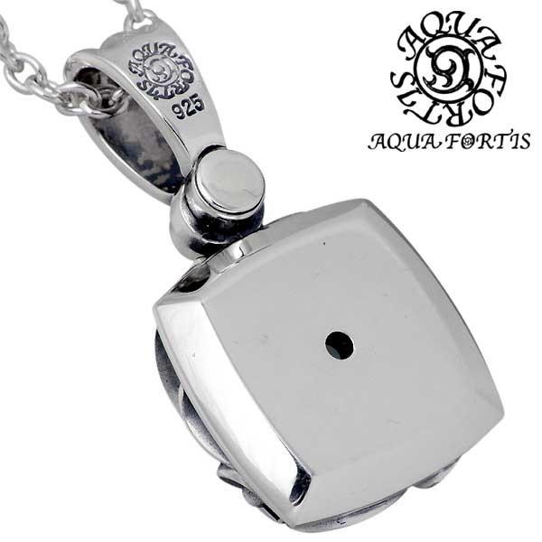 AQUA SILVER（アクアシルバー） アクアフォーティス AQUA FORTIS