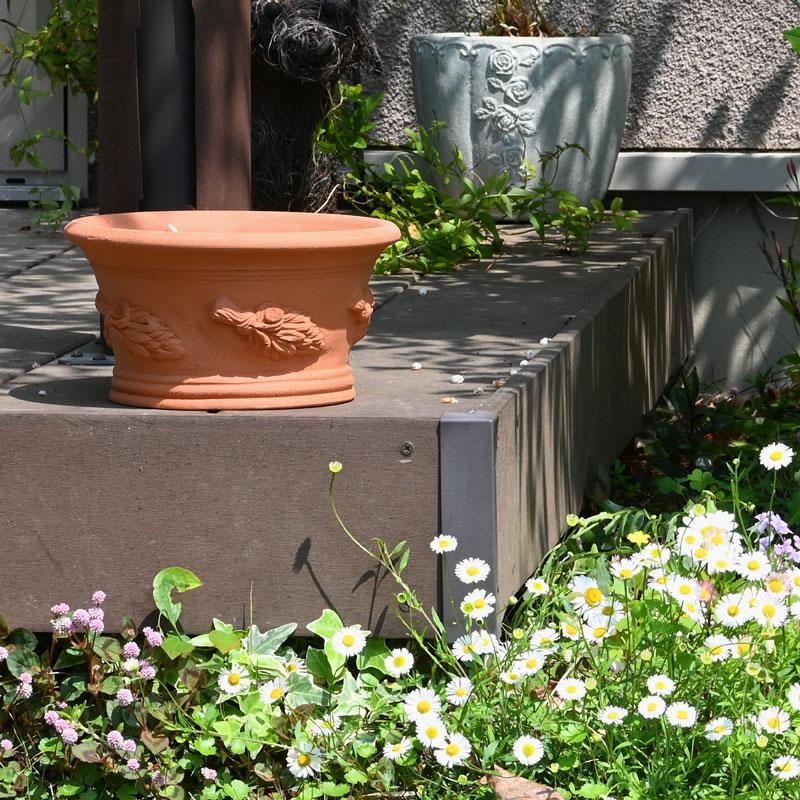 ウィッチフォード 植木鉢 ハーブ パン 直径22cm 約7号鉢 Whichford