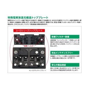 YANASE ヤナセ 輸入車用 EUROバッテリー EURO BLACK SB075BG : Blue