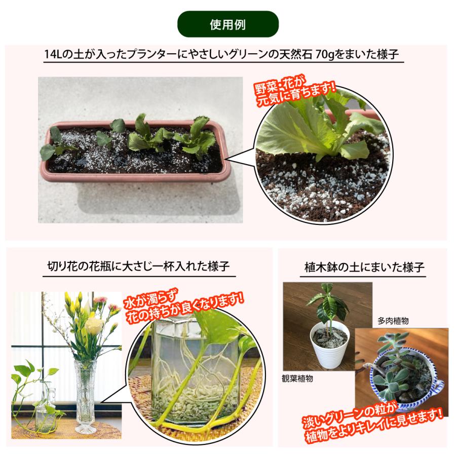 やさしいグリーンの天然石（450g） : グリーンタフShop - 通販 - Yahoo