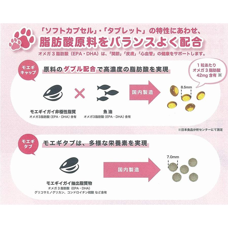 あすつく】『モエギタブ 100粒（10粒×10シート）×1個』犬猫用【共立