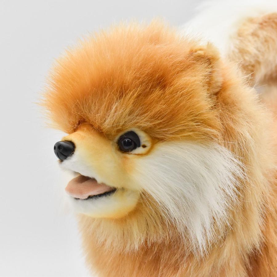 HANSA BH7018 ポメラニアン ぽめらにあん いぬ イヌ 犬 ぬいぐるみ