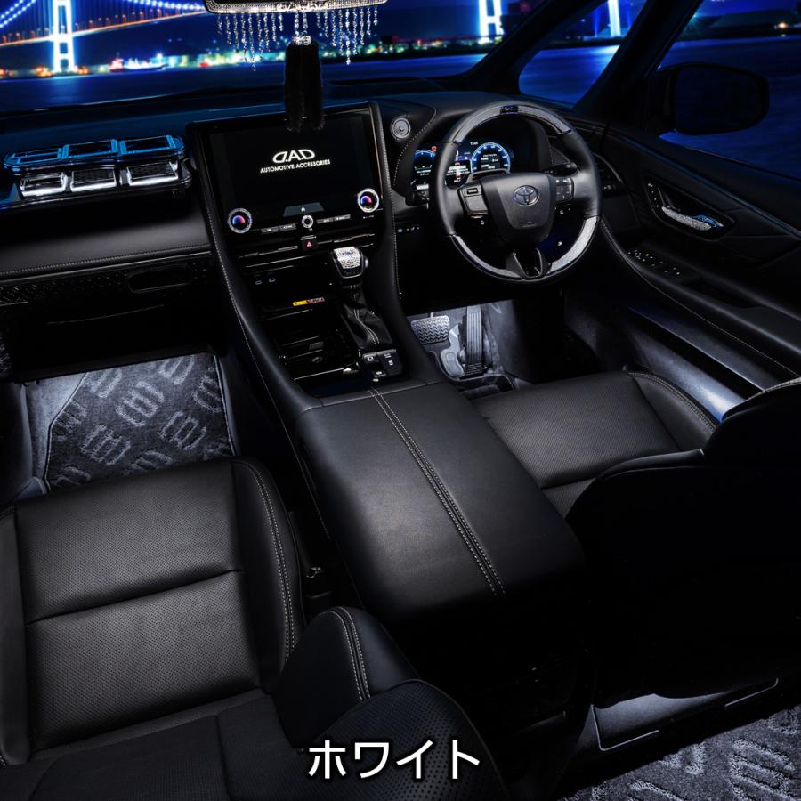 ギャルソン D.A.D ラグジュアリーイルミネーションシステム メイン