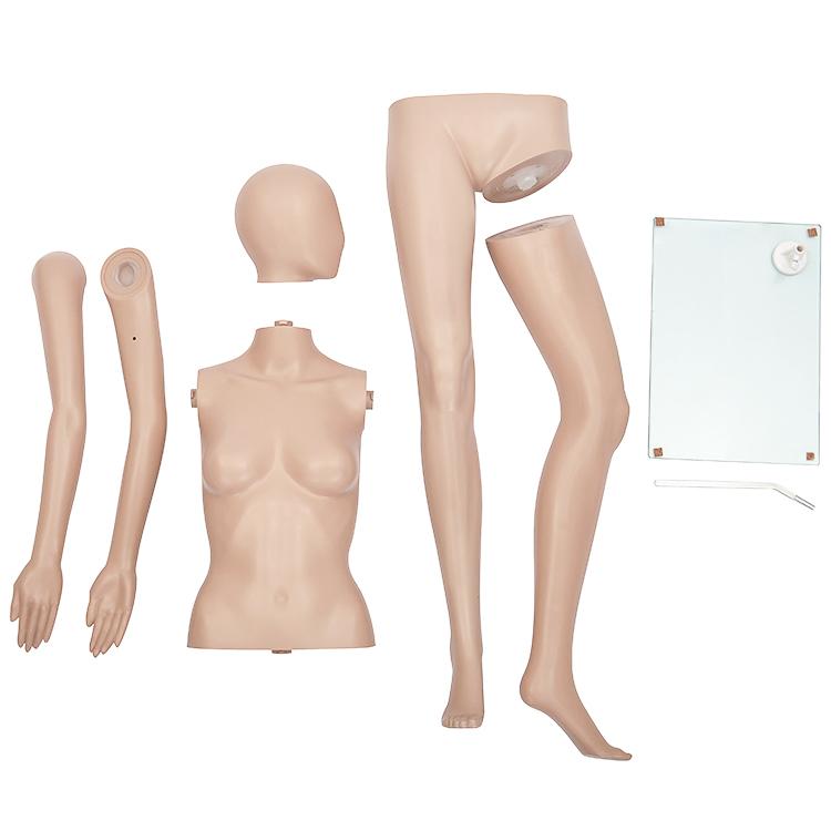 全身マネキン レディース 173cm 【9号サイズ】 B81×W61×H85cm 肩幅40cm