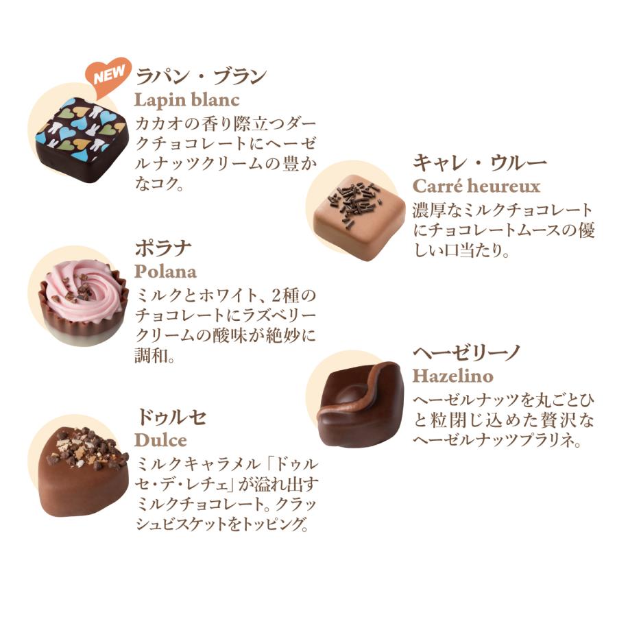 ホワイトデー チョコ 2026 デジレー ショコラ＆トリュフ15個入 高級 友