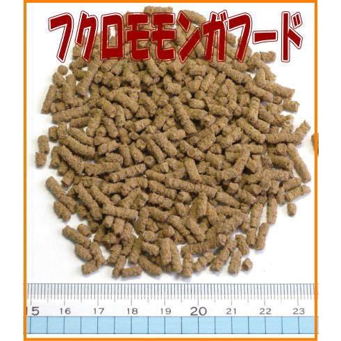 三晃商会]フクロモモンガフード 300g : 小動物用品専門店e-ペット屋