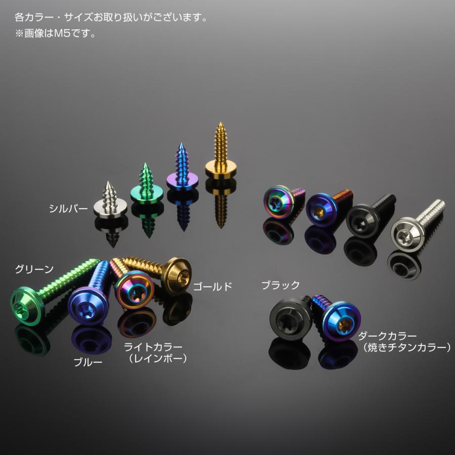 タッピングネジ M4×20mm チタン トルクス穴 フランジ付き ビス 焼き
