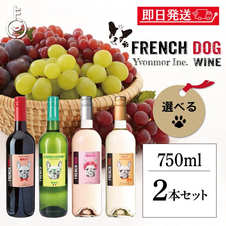 在庫処分 ボルドー 金賞 フレンチドッグ ワイン 2本 フランス 赤 白
