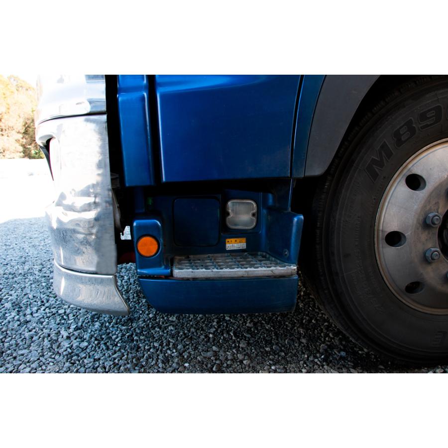 グランドプロフィア後期用 メッキステップスカート 交換式 : トラック