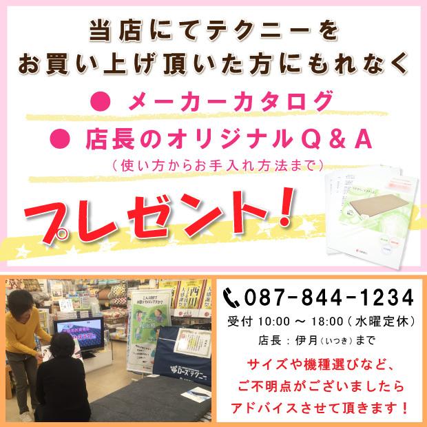 西川（nishikawa） JNR-1004 京都西川 ローズテクニ ー 100×200 家庭用