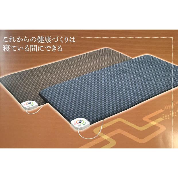 西川（nishikawa） JNR-1004 京都西川 ローズテクニ ー 100×200 家庭用