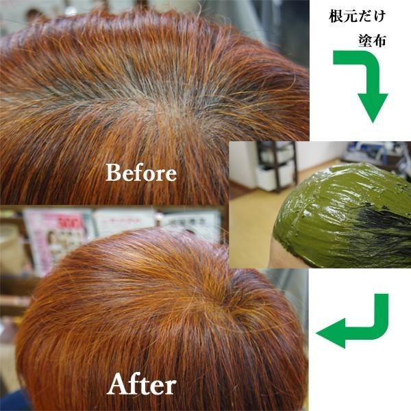 ヘナ ハナヘナ hana henna ヘナナチュラル&ハーバルブラウン 各100g 1