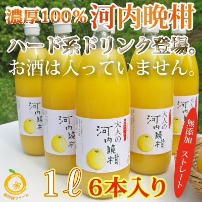 賞味期限2026年4月10日】愛媛産河内晩柑ジュース6本 ストレート果汁