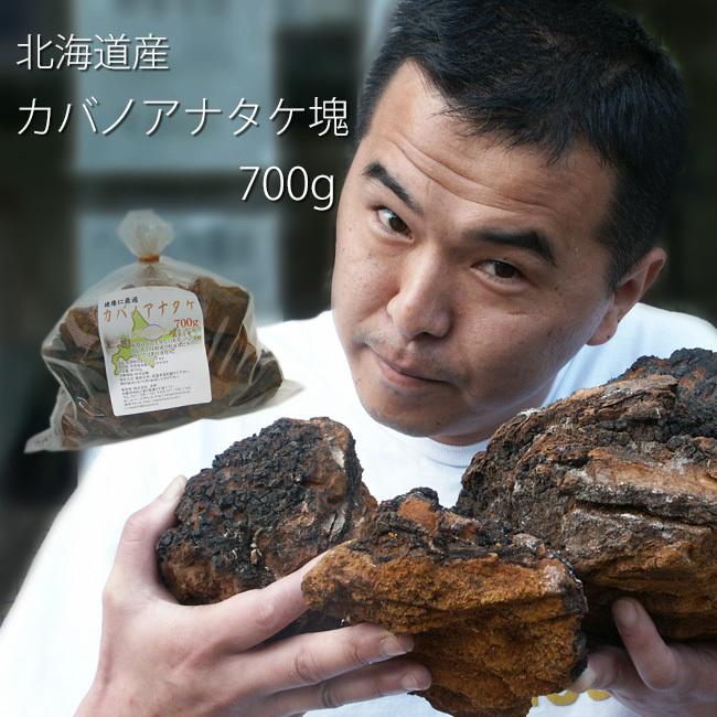 カバノアナタケ茶（かばのあなたけ茶）チャーガ茶100% 塊（原体)700g