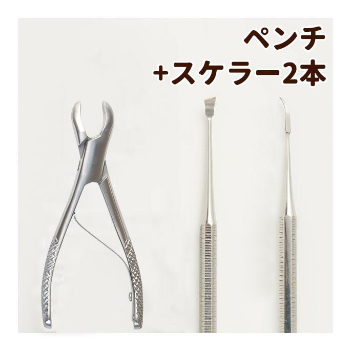 帝塚山ハウンドカム 【タイムセール5％OFF】愛犬・愛猫用歯石取り