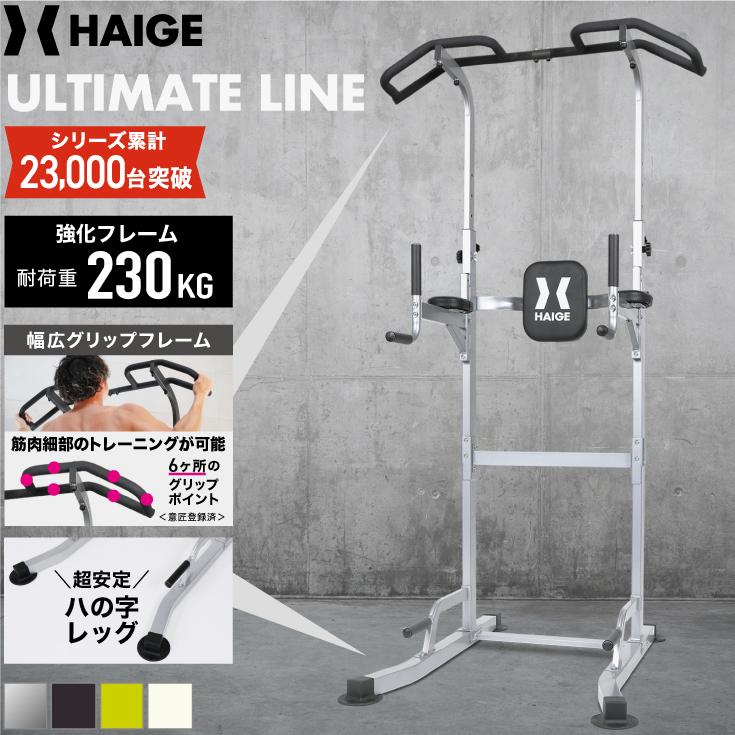 ハイガー プラップバー 懸垂バー プロユース 耐荷重230kg 懸垂 意匠