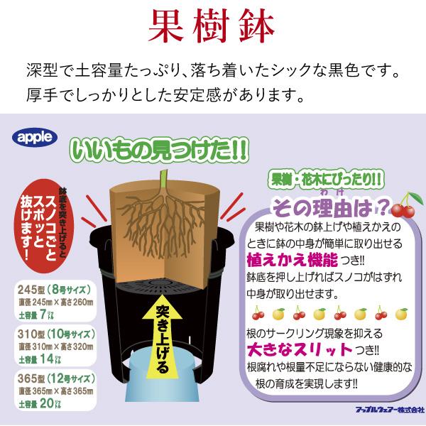 果樹鉢310型 直径31cm 約10号 スリット鉢 : 花実樹(はなみき)ヤフー店