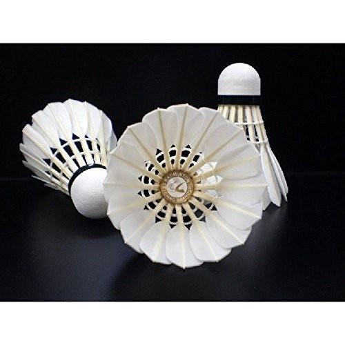 第一種検定球】ROYAL（ロイヤル）1〜5番、バドミントン シャトル