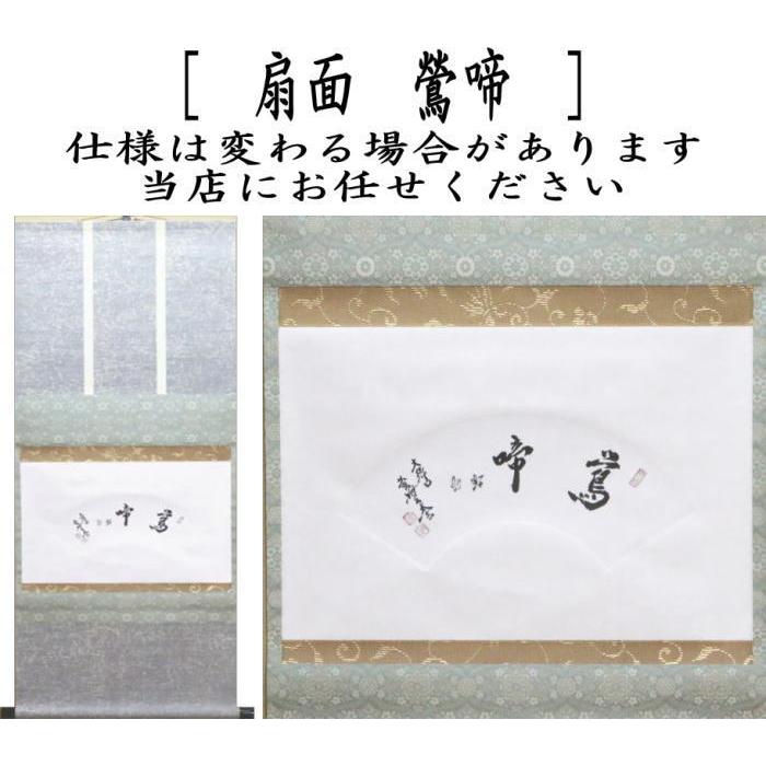 茶道具 掛軸 掛け軸 横軸 扇面 鶯啼 小林太玄筆 茶道 : 茶道具いまや