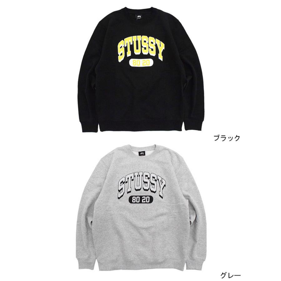 STUSSY（ステューシー） トレーナー メンズ 80/20 ( stussy sweat