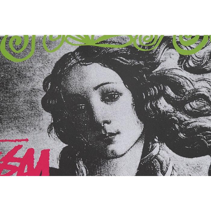 STUSSY（ステューシー） カレンダー STUSSY Stussy 2020 ( stussy