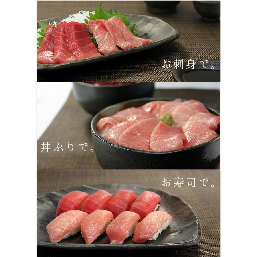 中とろ 赤身セット ギュウ 本マグロ 大トロ中トロ赤身セット500g 送料