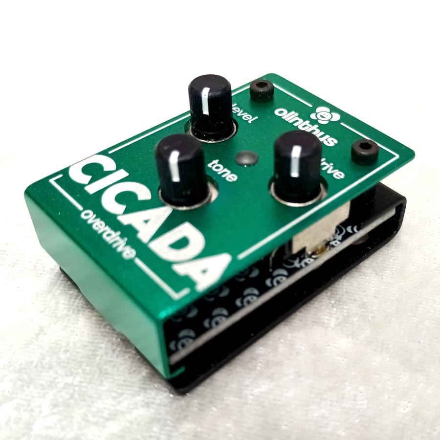 Olinthus CICADA Overdrive-国内正規輸入品- : 伊藤楽器 松戸店 - 通販