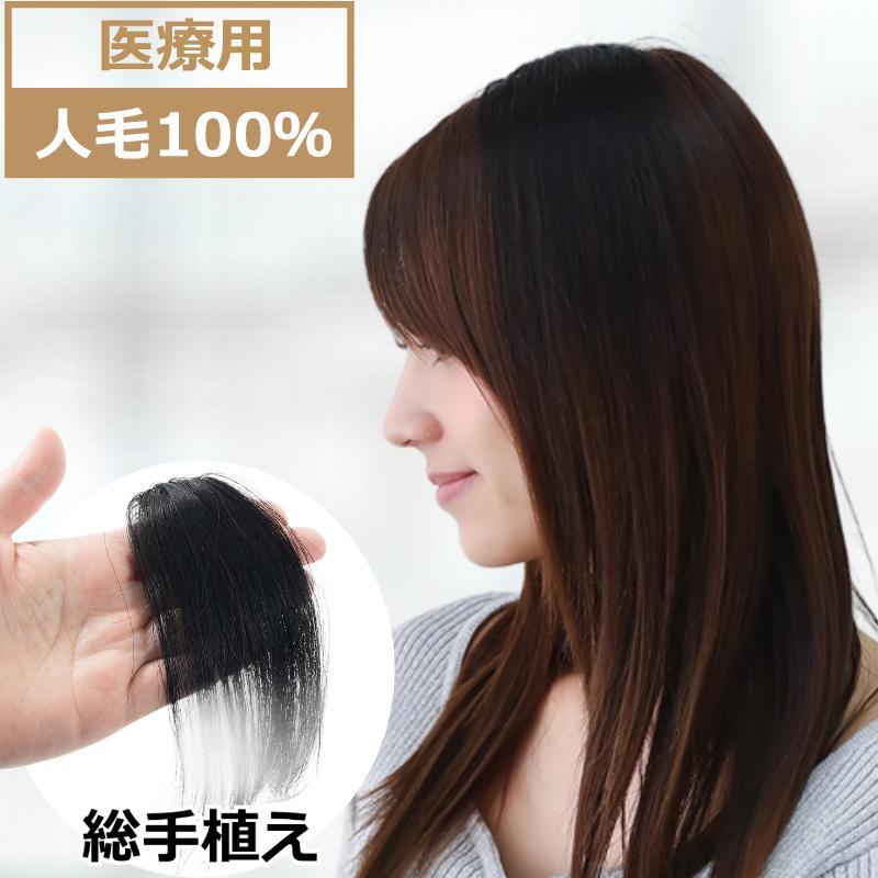 人毛100％ ポイントウィッグ ヘアピース 総手植え エクステ 自然 医療