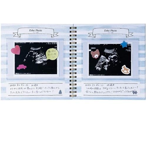 メール便送料無料 マタニティアルバム アニマル刺繍 ウサギ クマ PB