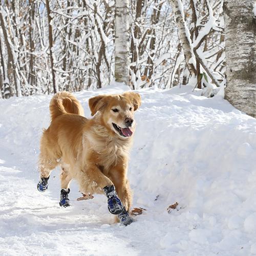 マットラクス スノーマッシャーズ サイズ1〜4 Muttluks Snow Mushers