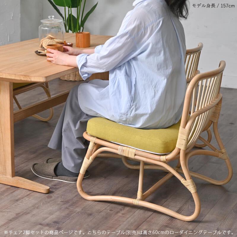 2脚セット ラタン ローチェア 1人掛け ダイニングチェア SET2-C303ND