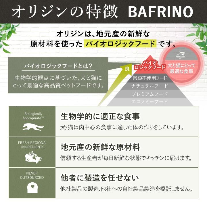 ORIJEN（オリジン） オリジナルキャット 5.4kg キャットフード 【正規