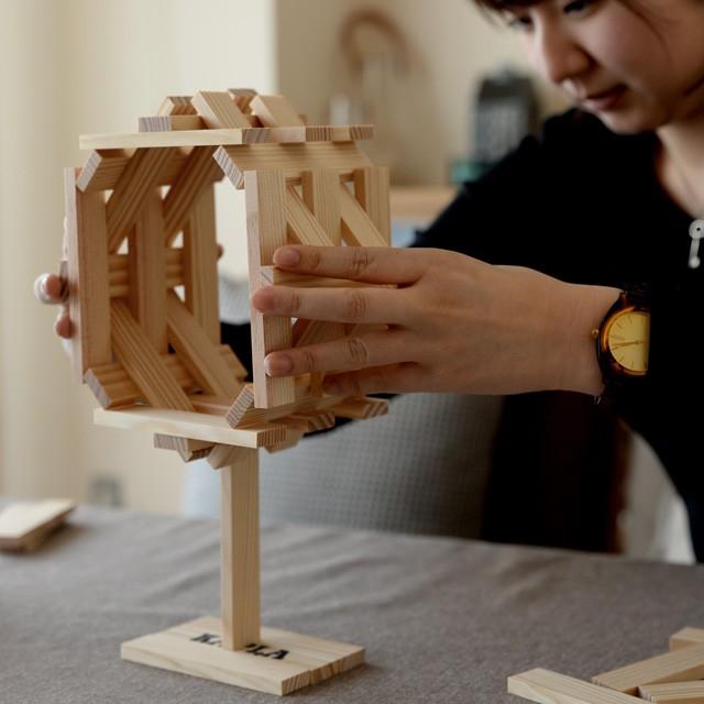 カプラ インテリア 積み木 KAPLA 280 中級 赤 アートブック付 魔法の板